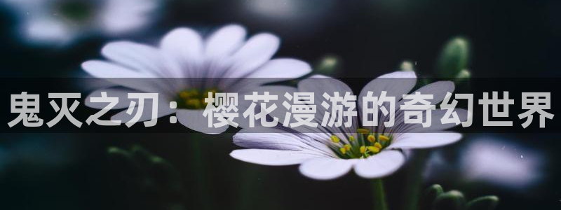 韩漫动作漫画：鬼灭之刃：樱花漫游的奇幻世界