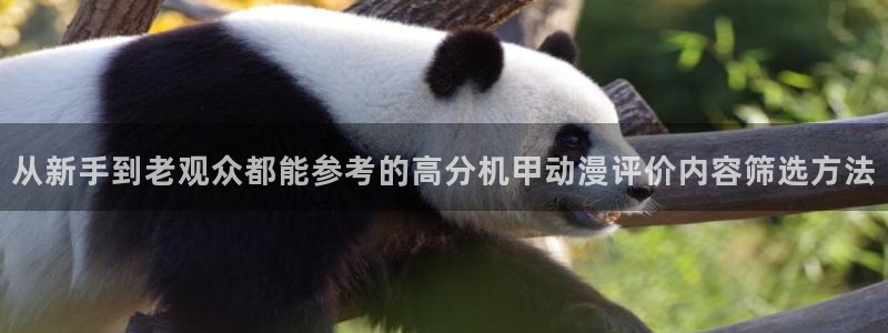 韩漫漫画中文版阅读：从新手到老观众都能参考的高分机甲动漫评价内容筛选方法