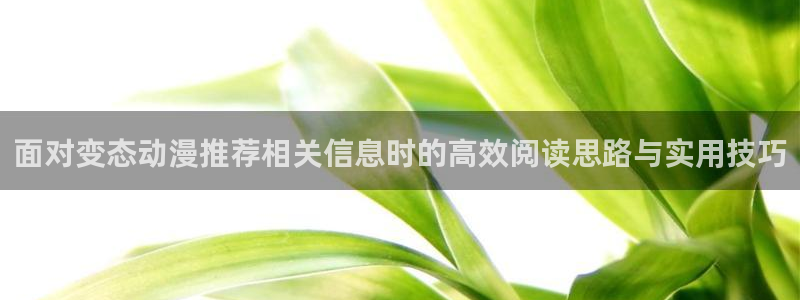 韩漫少年漫画推荐：面对变态动漫推荐相关信息时的高效阅读思路与实用技巧